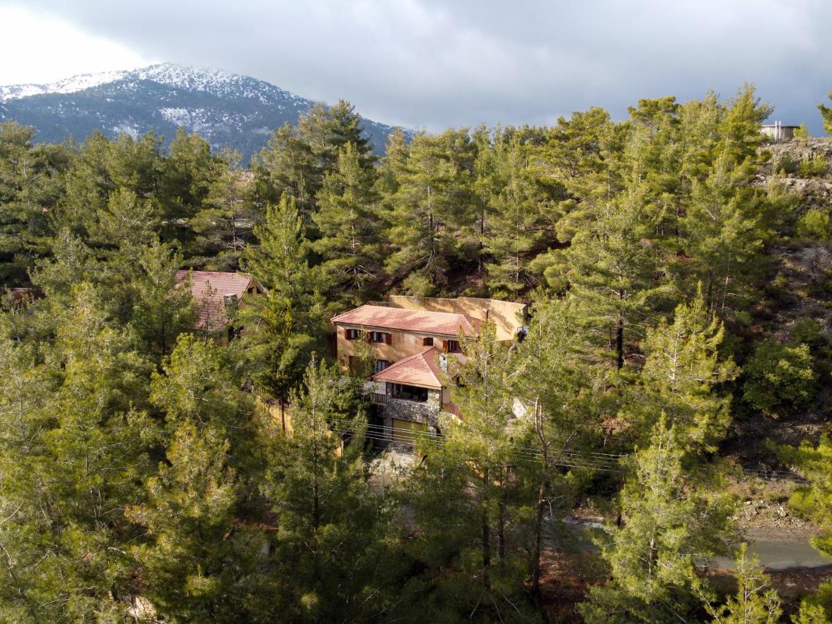 Lodge Kardama Hideaway Kato Amiandos